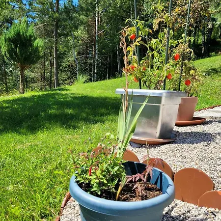 Babicina Hisica Prázdninový dům