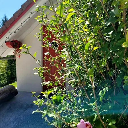 Tatil Evi Babicina Hisica