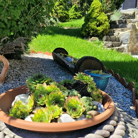 Babicina Hisica * Misji Dol