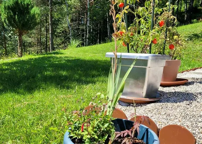 Babicina Hisica 펜션