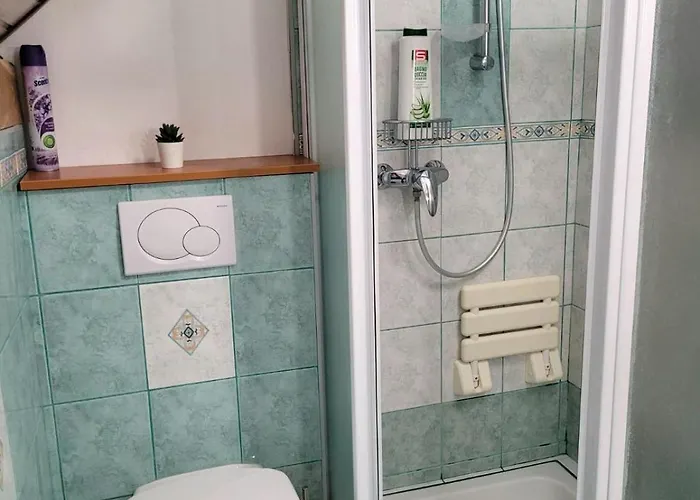 Babicina Hisica 펜션 *