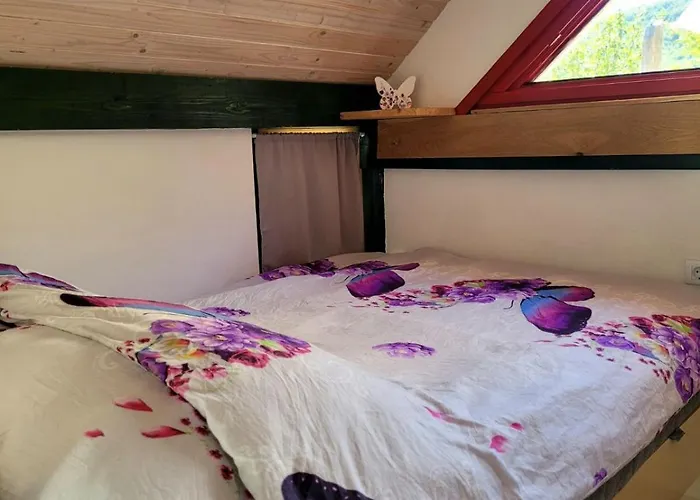 Babicina Hisica 펜션 Misji Dol